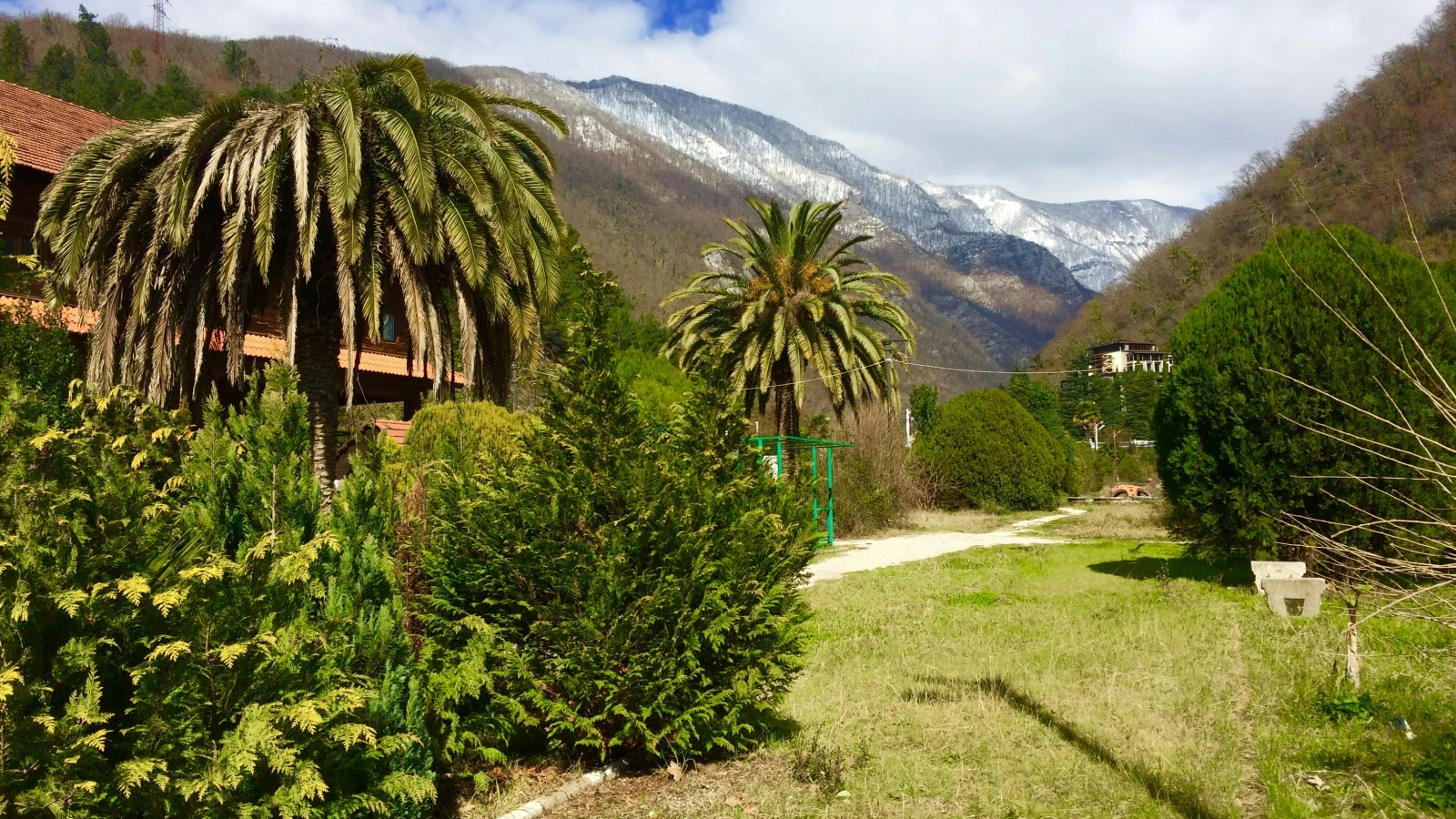 Palm trees and exotic plants at Jardim Monte Palace garden in Madeira near Funchal