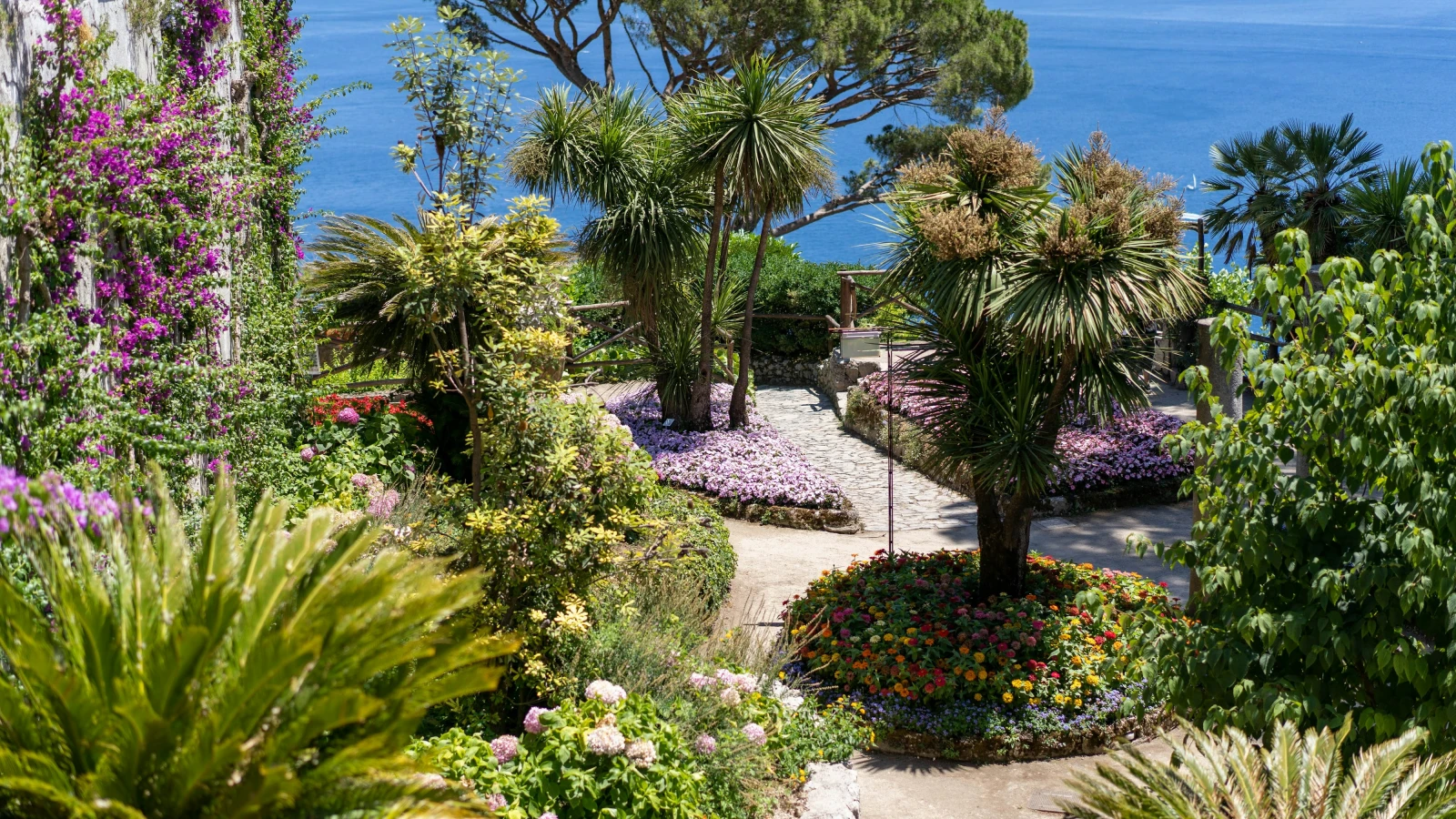 Tropical trees and lush foliage inside Jardim Monte Palace Madeira above Funchal